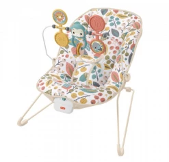 Fisher-Price Baby's Bouncer