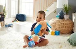 Fisher-Price Laugh & Learn So Big Puppy -Fisher-price-shop FPGWJ81HI4 34425.1618391869