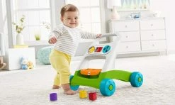 Fisher-Price Busy Activity Walker