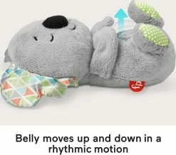 Fisher-Price Soothe N Snuggle Koala -Fisher-price-shop Z000 50342.1674692536
