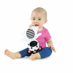 Zen The Zebra Sensory Plush Teether -Fisher-price-shop mdt3okgizdokc56myhu2 26723.1625453186
